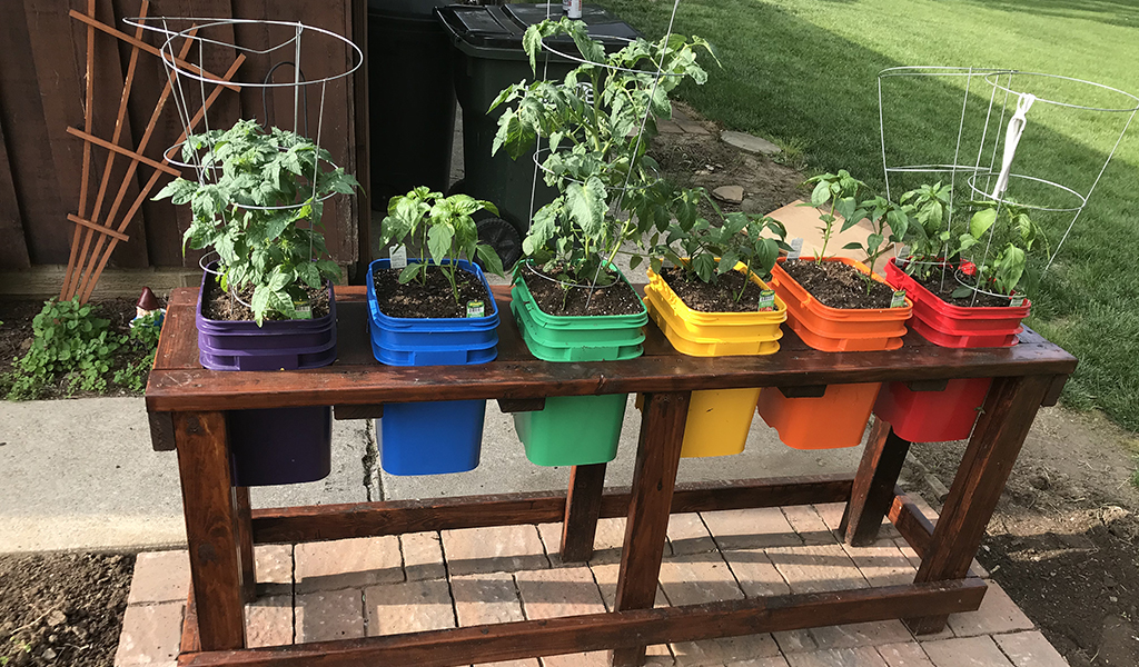 Container gardening