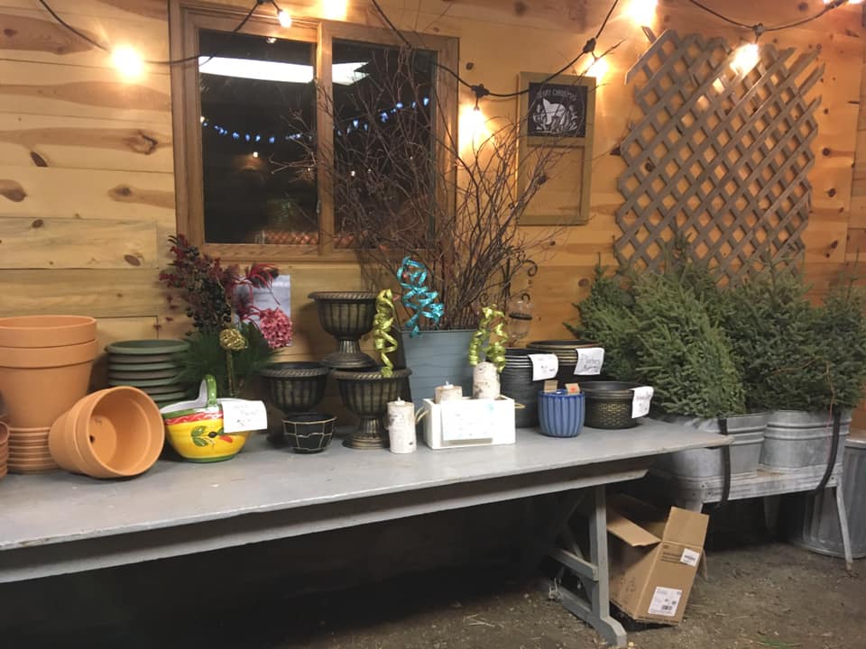Inside L&E Greenhouse