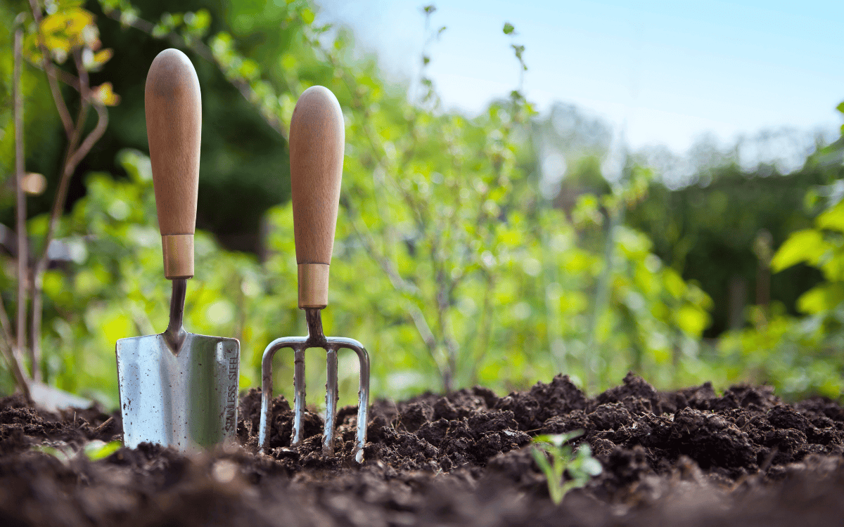 Spring gardening